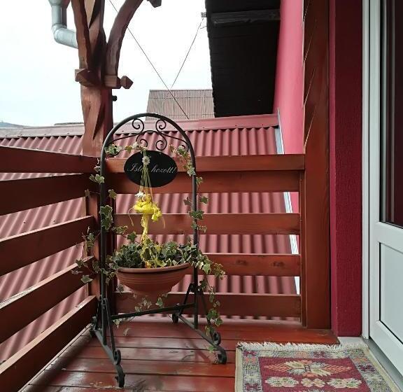 Nárcisz B&b
