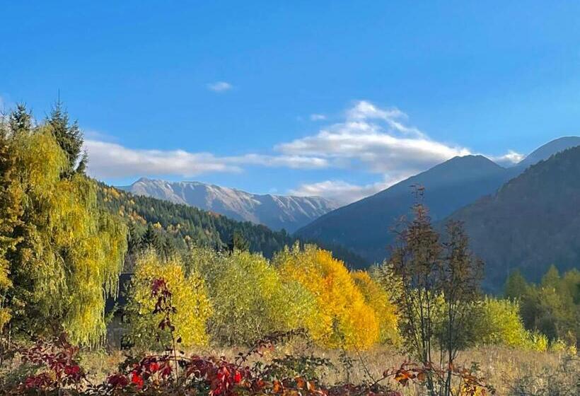 פנסיון Alpinlife