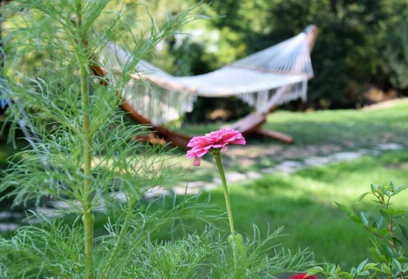 Пансион Golden Horn Guest House