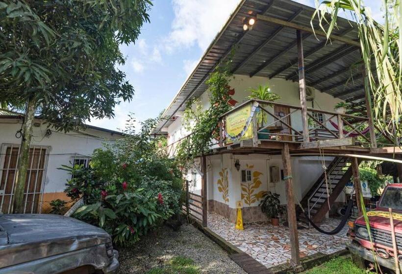 بنسيون Hostel Wunderbar
