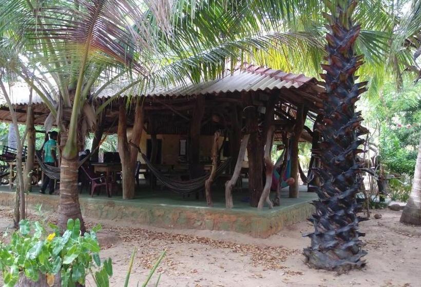 Пансион Light House Beach Hut