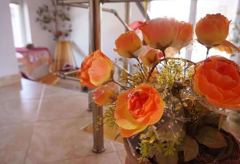 Пансион Pamir Guest House