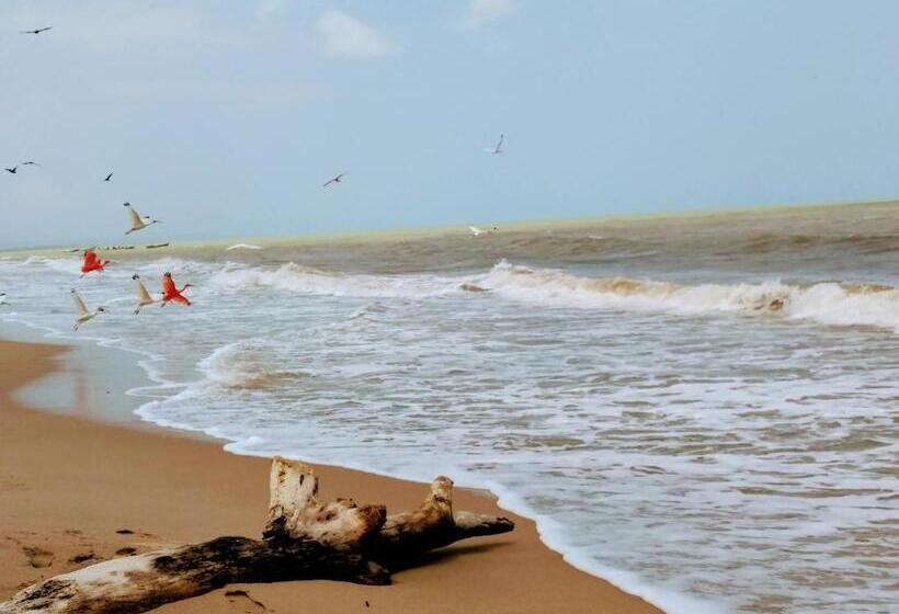 پانسیون Playa Kai Glamping