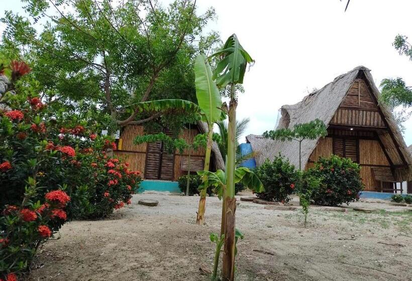 پانسیون Playa Kai Glamping