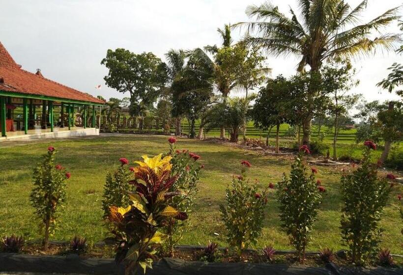 بنسيون Putri Duyung Guest House