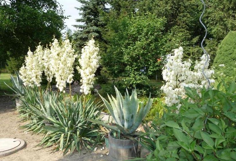 Пансион Werners Landgasthaus