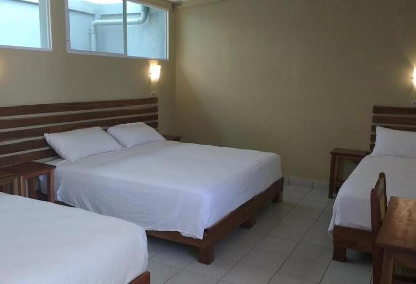 Pizzeria Colisseo B & B