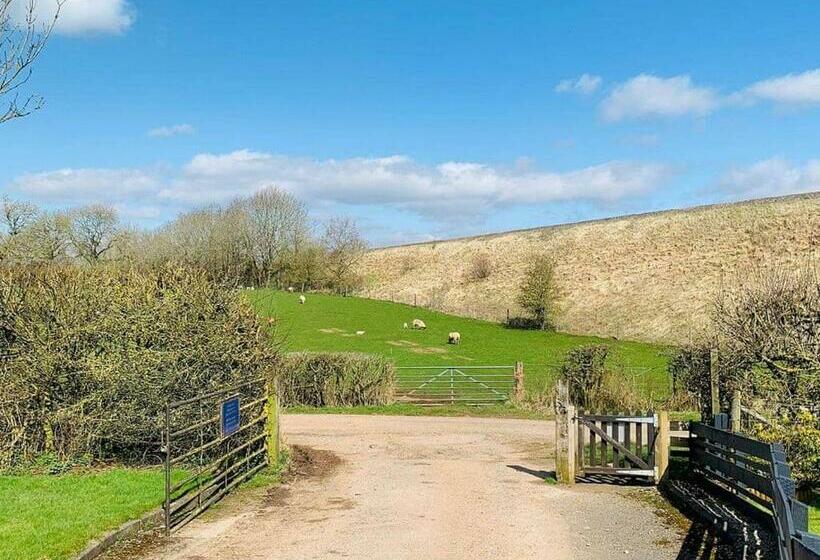 리조트 Wild Rose Holiday Park