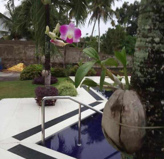 Bed and Breakfast Colibri Villa