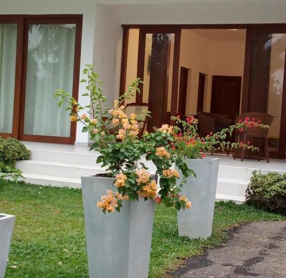 Bed and Breakfast Colibri Villa