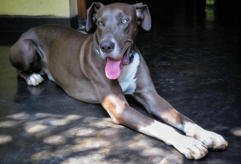 تختخواب و صبحانه Sri Mathie Historic Estate