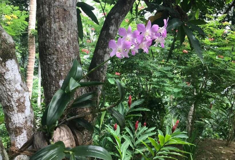 تختخواب و صبحانه Sri Mathie Historic Estate