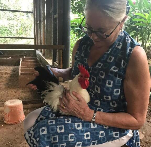 تختخواب و صبحانه Sri Mathie Historic Estate