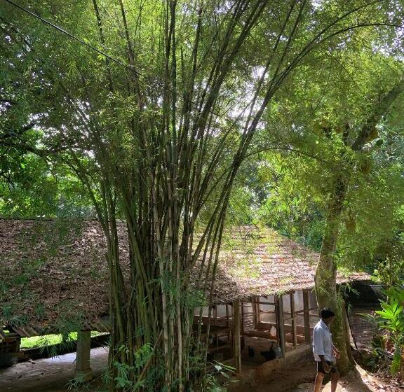 تختخواب و صبحانه Sri Mathie Historic Estate