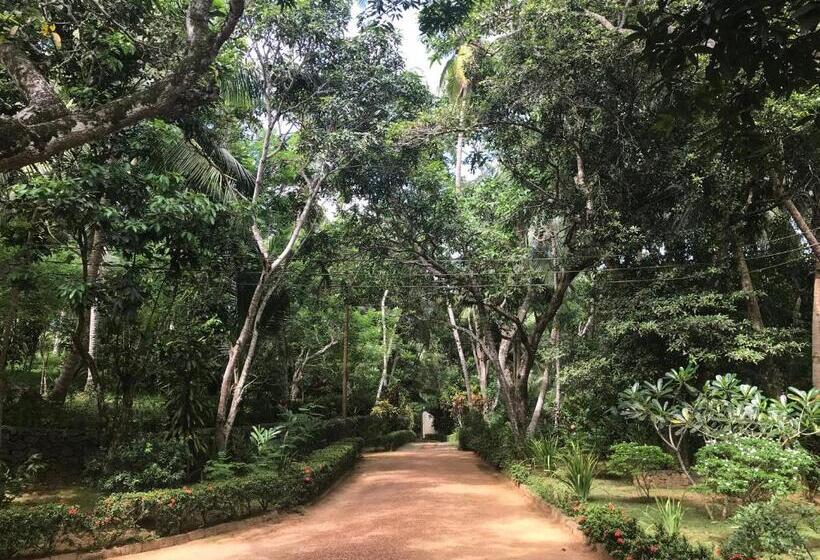 تختخواب و صبحانه Sri Mathie Historic Estate