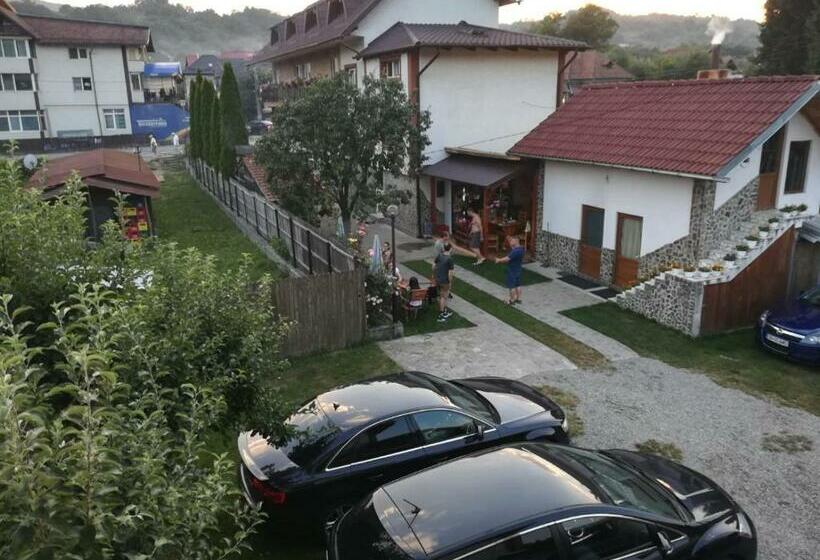 هتل Pensiunea Dandu