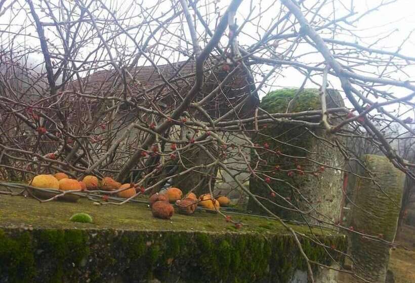 Badesti Farm House