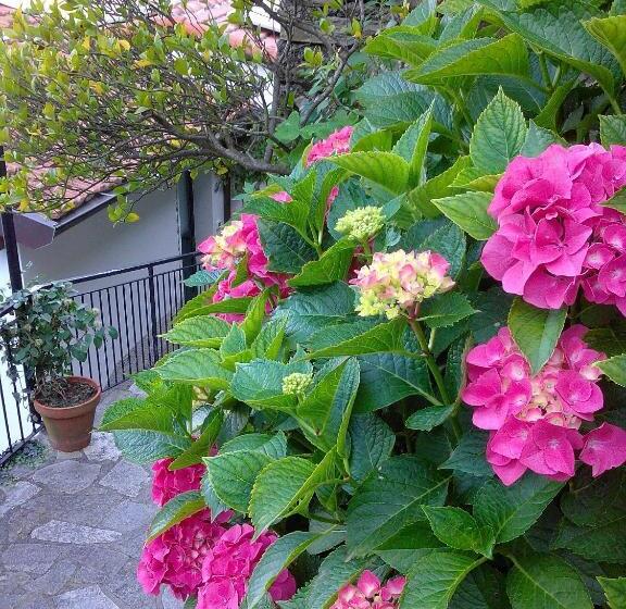 B&b I Glicini
