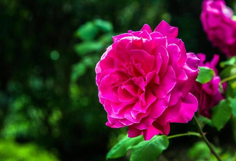 مبيت وإفطار Casa Matilde