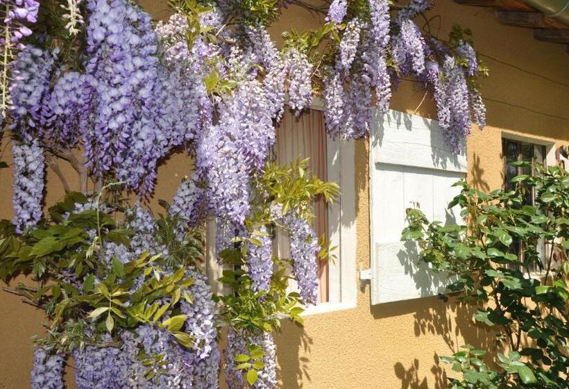 B&b La Cerisaie