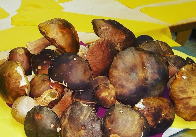 בית מלון כפרי Albergo Ristorante Poli