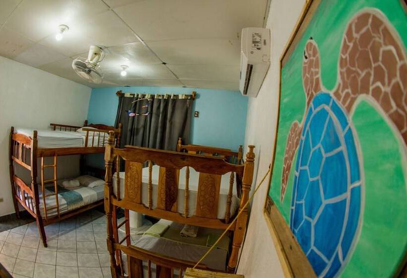 هتل Miramar Surfcamp