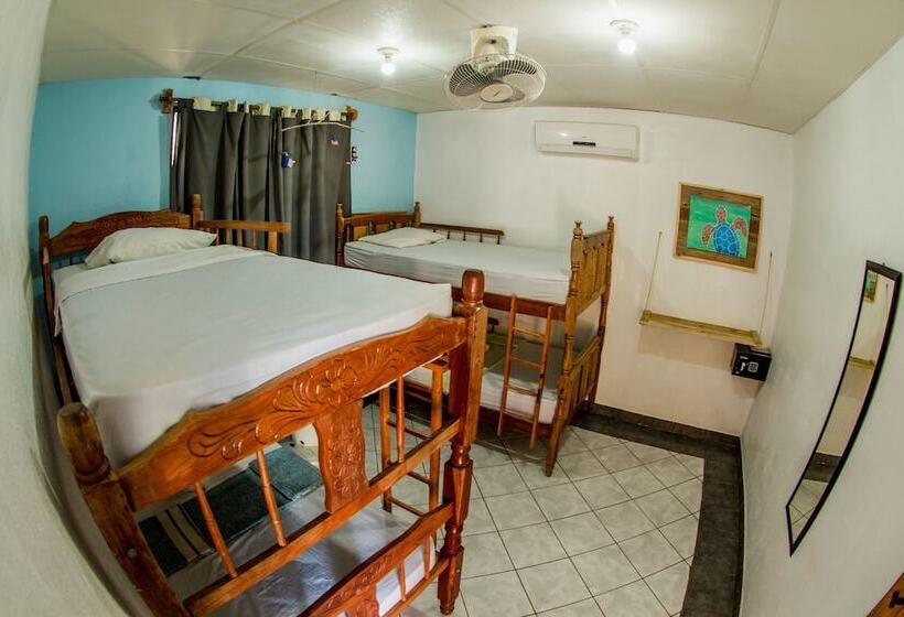 هتل Miramar Surfcamp