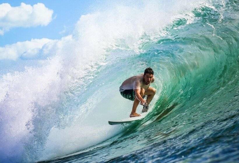هتل Miramar Surfcamp
