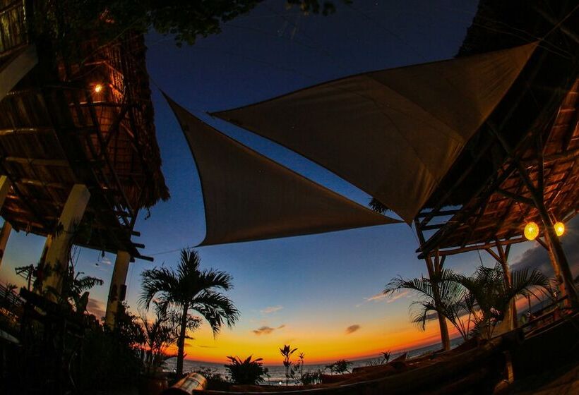 هتل Miramar Surfcamp
