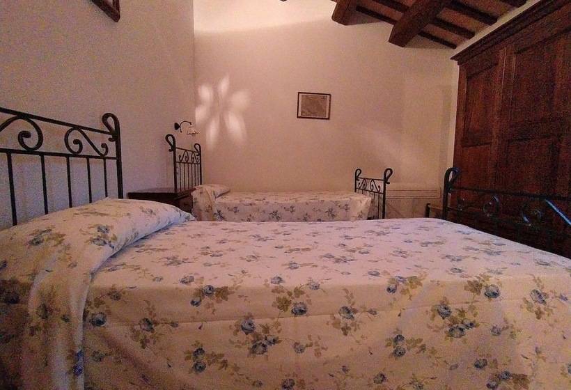 乡村酒店  Agriturismo Terre Vineate