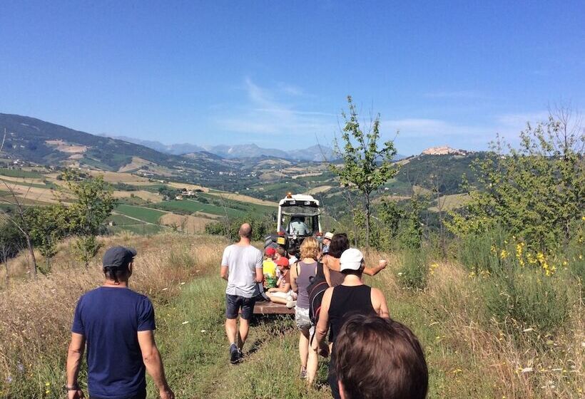 乡村酒店  Agriturismo Terre Vineate