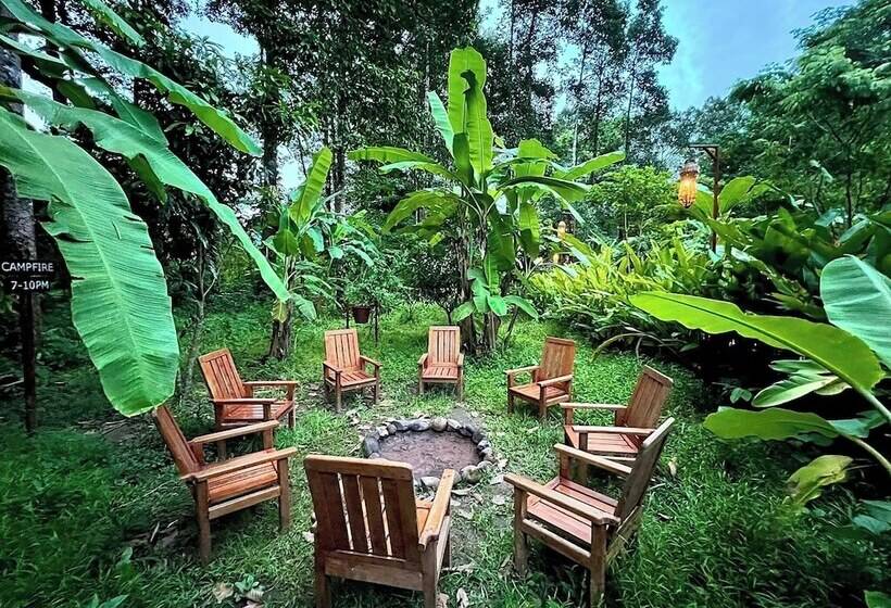 هتل Springriver Resort