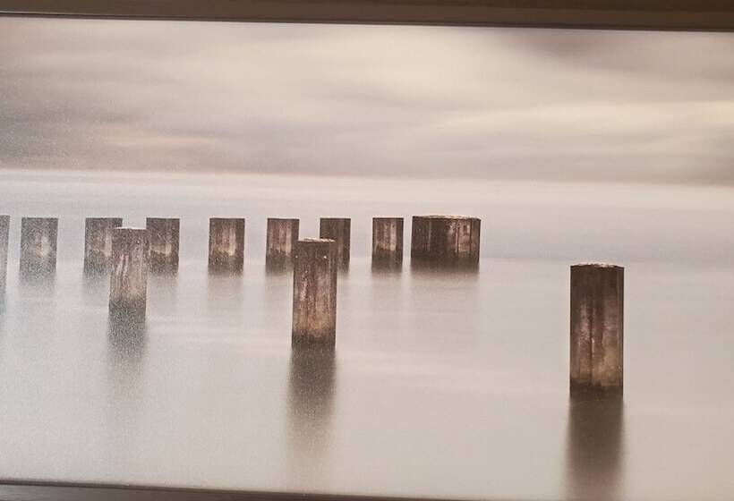 فندق على الطريق Shoreside Inn & Suites