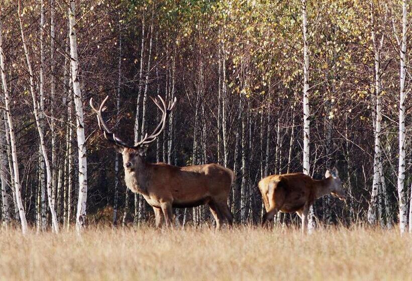 ペンション Honor Villa