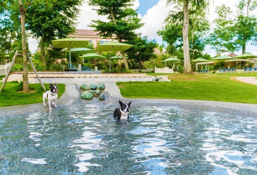 渡假胜地  Koyarunosato Doggys Island
