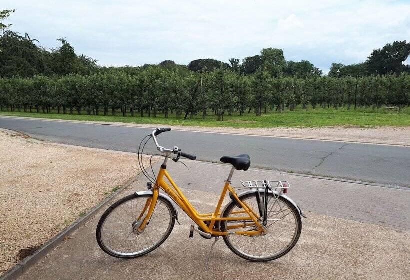 B&b De Fruithoeve