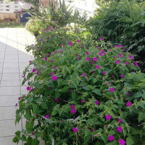 צימר Casa Di Frami