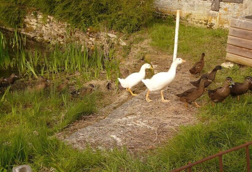 مبيت وإفطار La Ferme Des Vignes