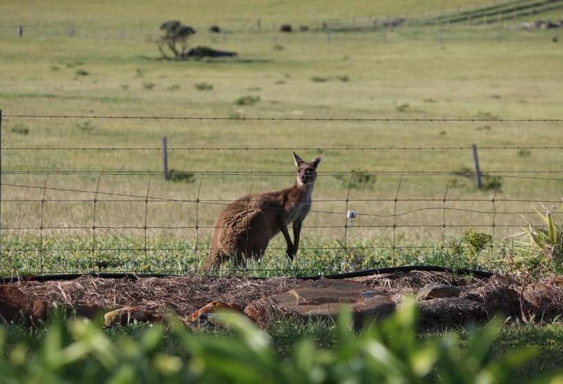בית מלון כפרי Pink Gums Farmstay