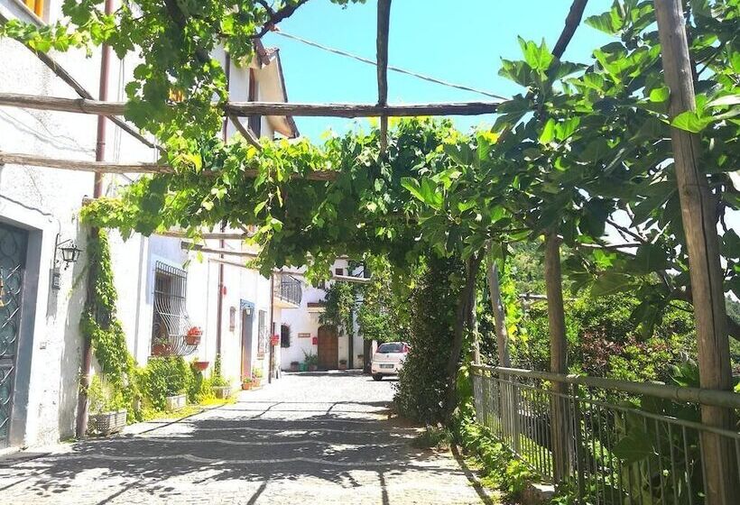 田舎風ホテル Agriturismo Il Castagno