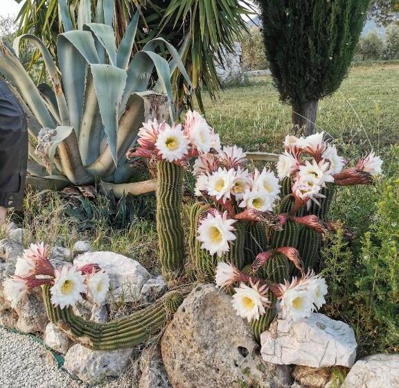 צימר Villa Dei Romani   Country House