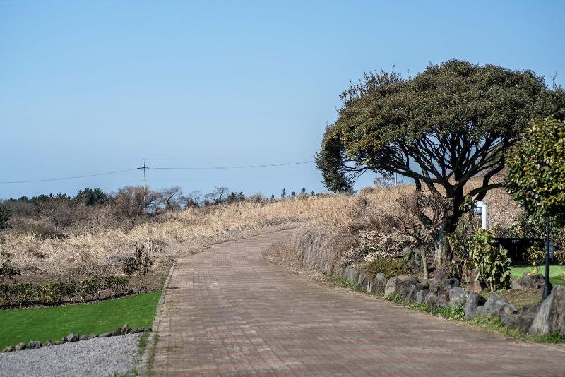 هتل Jeju Nollmung