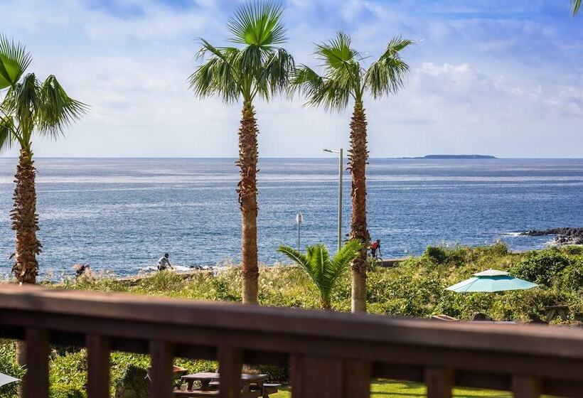 هتل Longbeach Pension