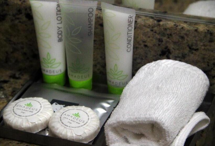 Fotos del hotel Aparthotel Sevilla Suites:  31