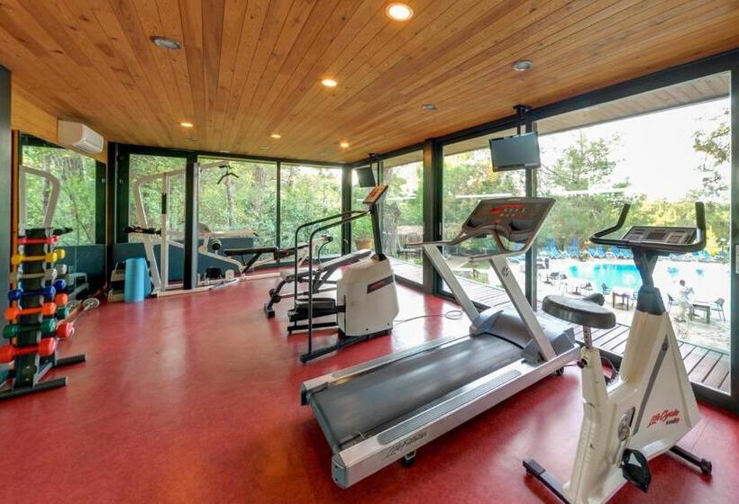 هتل Montana Pine Resort   All Inclusive