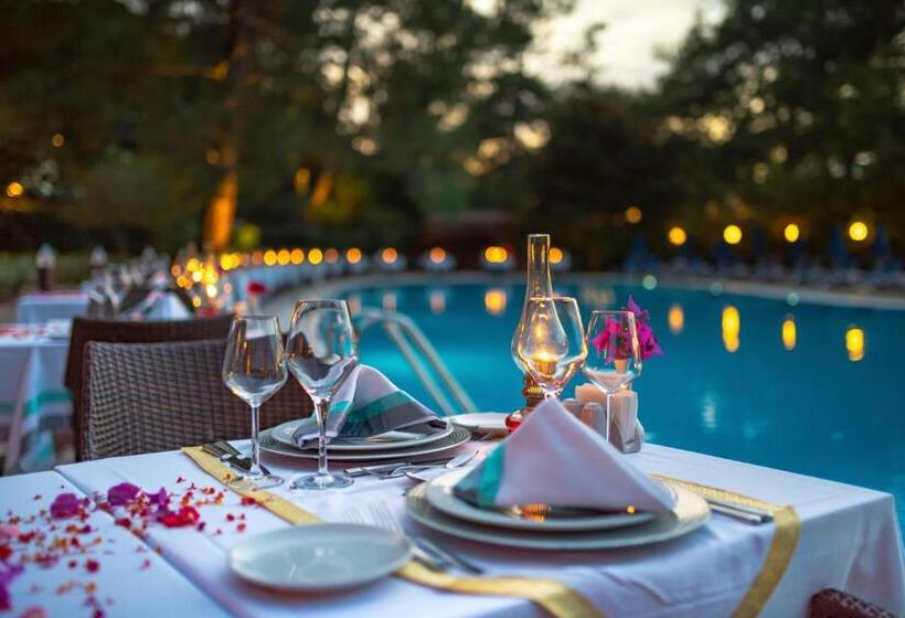 هتل Montana Pine Resort   All Inclusive