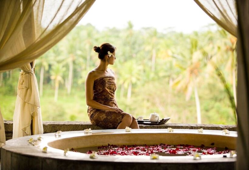 هتل The Payogan Villa Resort And Spa