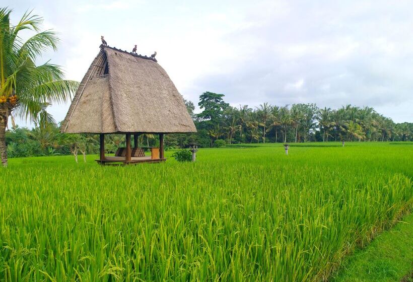 هتل Tanah Gajah, A Resort By Hadiprana