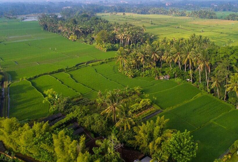 Fotos del hotel Tanah Gajah, A Resort By Hadiprana:  17