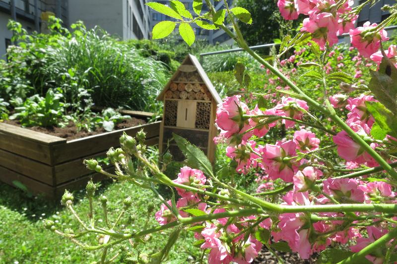 Fotos del hotel Novotel Suites Wien City:  10